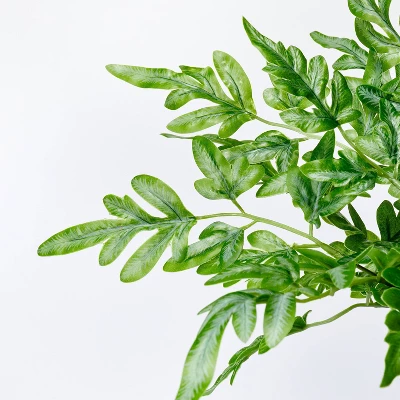 Small Artificial Ribbon Fern Leaf in Pot - Threshold™ designed with Studio McGee Small Artificial Ribbon Fern Leaf In Pot - Threshold™ Designed With Studio McGee -Home Furnishing Series Shop GUEST a6a1f538 6c4c 408b 9298 982d0cb89e78